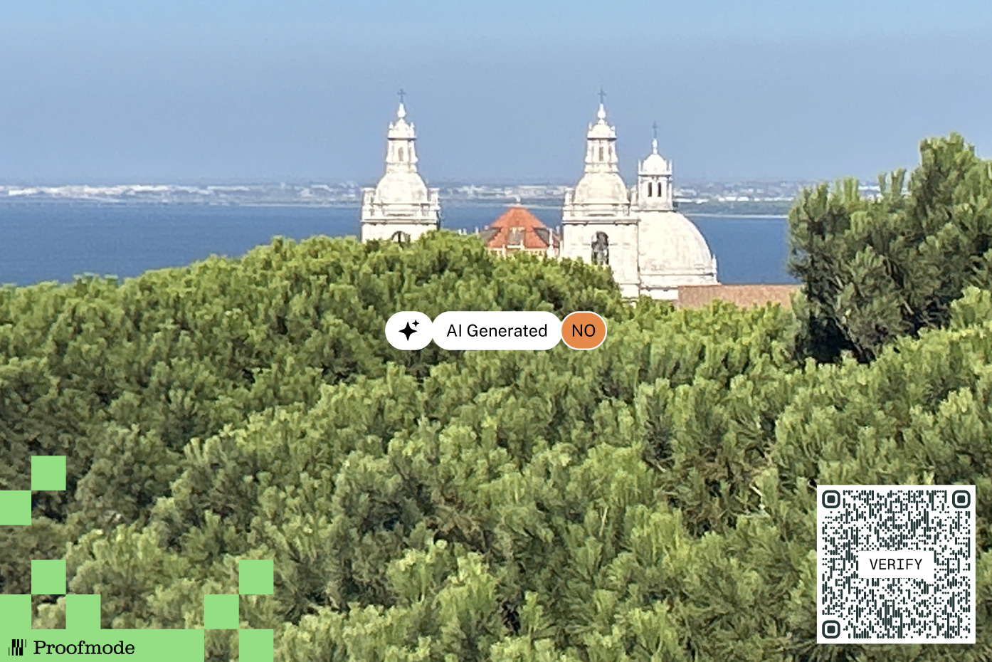 a display card for playing the hunt game